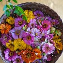 꽃차&약선차 이미지