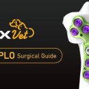 스위스동물병원 이미지