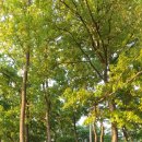 장모루공원 이미지