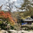 소쇄원 | 전남 담양 가볼만한 곳 소쇄원 입장료 단풍 시기 애견동반 관람 후기