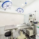 수원 오즈동물병원 이미지