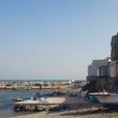 나정2리 이미지