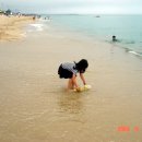 사천음악제 이미지