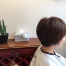 어느멋진날 헤어 - 159657 | 어느멋진날 헤어