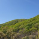 동명산소 이미지