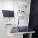 피카소동물병원 이미지