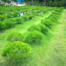 선택목장 이미지