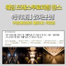 부산동구웨딩홀[부산아레나웨딩홀] 무료대관홀상담/스드메특가 초대전 여기는요!!~ 이미지