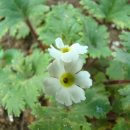 예진농장 이미지