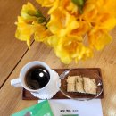 [마을배움터] 스마트폰을 배우다 | 대구 수성구 독서모임 책속길 :봄맞이 제철행복 후기