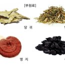 일품홍삼