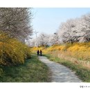 순성농협 하나로마트 이미지