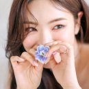 AnYu 네이버블로그