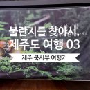 불란지 | [제주도 차박 여행 03] 제주 서부 여행코스 1 & 무료주차 꿀팁 | 곽지해변부터 청수리 반딧불이 축제...