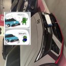 태평양카독크 이미지