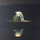 순례자의 집 이미지