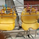 하얀기쁨 이미지