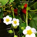 소우농장 이미지