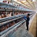 진일농장 이미지