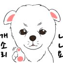 서종우헤어 이미지
