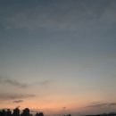 교토리