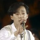 무한궤도