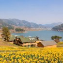 바다랜드 이미지