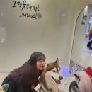 족발야시장인덕대학점 | #주간일기 | 틀림없이 끝이 있다는 것