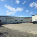 대비농장2 | 제주도가 아닌 대구에서 감귤 농장 체험 별그린농원 방문 후기