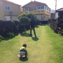 계룡길 벽돌가 이미지