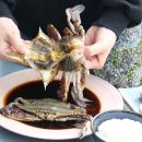 주식회사더꽃게