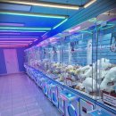 멀티뽑기방 이미지