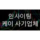 인사이팅