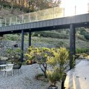 숲마을농원 | 정관 대형 카페 단풍맞이 숲속 제전농원