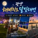광양 핫플 해비치로 달빛해변 또 다녀온 이야기