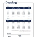 텐즈힐 애견미용 이미지