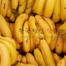 김용태농장 이미지