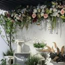 호텔 더 보타닉 세운 명동(B동) | [내돈내숙] 호텔 더 보타닉 세운 명동 스위트룸 숙박후기