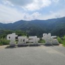 알파카월드 이미지