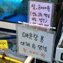달콤하잉 | 은총횟집, 배니닭강정, 중앙닭강정, 대게특별시), 강문해변 고씨네 막국수, 심춘옥청국장, 달콤하잉 후기