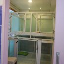 빙고네펫샵 이미지