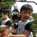 햇빛촌어린이집 이미지