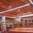 강철복싱 이미지