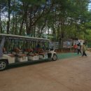 돌리네습지 초소 이미지