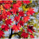 광주-곤지-곤지암-1 이미지