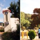 평광초등학교 이미지