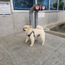 온양농협하나로마트발리점 이미지