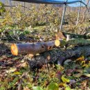 청송군정보화교육센터 이미지