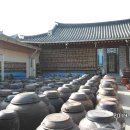 순창 메타세콰이어길 이미지