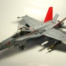 [HOBBY BOSE] F/A-18C Hornet (1/48) 이미지